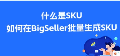 Shopee/Lazada/TikTok 店铺中的SKU是什么意思,如何系统填写SKU?