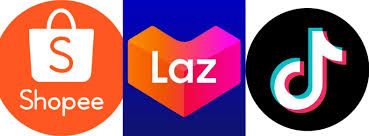 速看!Shopee、Lazada、TikTok超全BIR上传教程