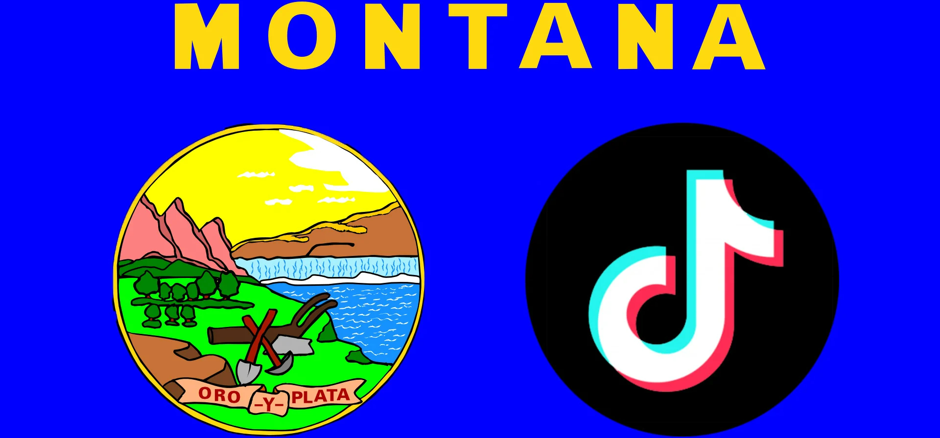 More Than Half of Americans Oppose The Ban, And TikTok’s E-commerce Business Is Turning Around