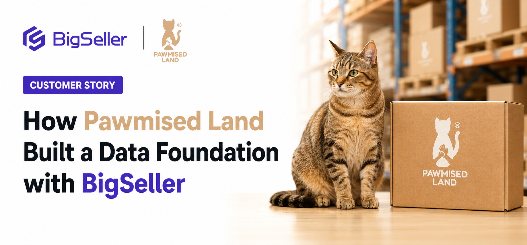 Pawmised Land: Building a Data Foundation with BigSeller and Using AI to Guide Business Decisions
