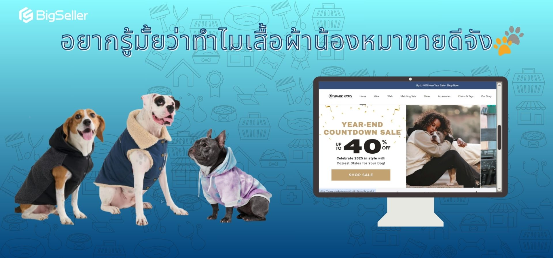 เรียนรู้การทำธุรกิจอีคอมเมิร์ซจากแบรนด์แฟชั่น Spark Paws