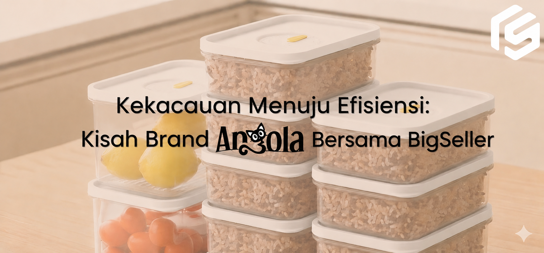 Kekacauan Menuju Efisiensi: Kisah Brand Angola Bersama BigSeller
