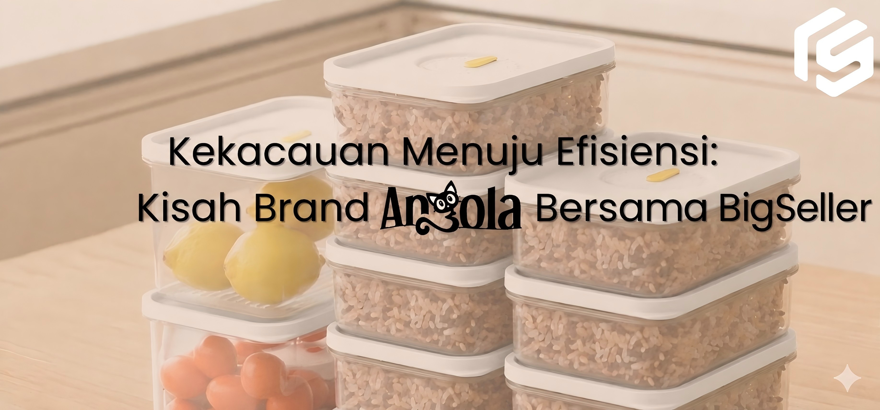 Kekacauan Menuju Efisiensi: Kisah Brand Angola Bersama BigSeller
