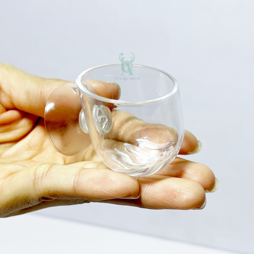 Cốc trồng cây nhỏ MICA