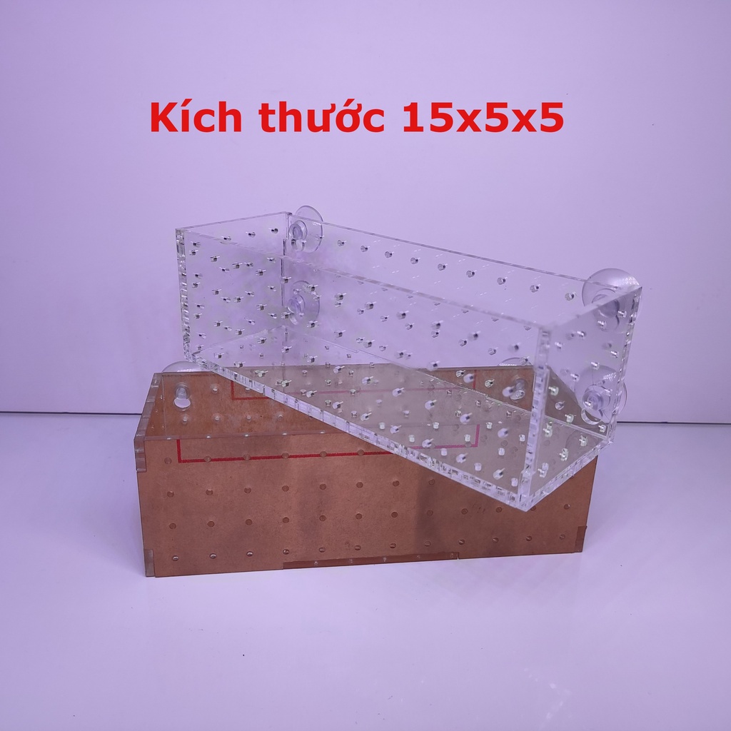 Cốc trồng cây Box mica