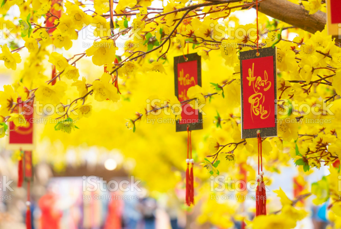 DẠO MỘT VÒNG CHỢ TẾT ONLINE TRÊN LAZADA VÀ SHOPEE VÀO NHỮNG NGÀY CUỐI NĂM