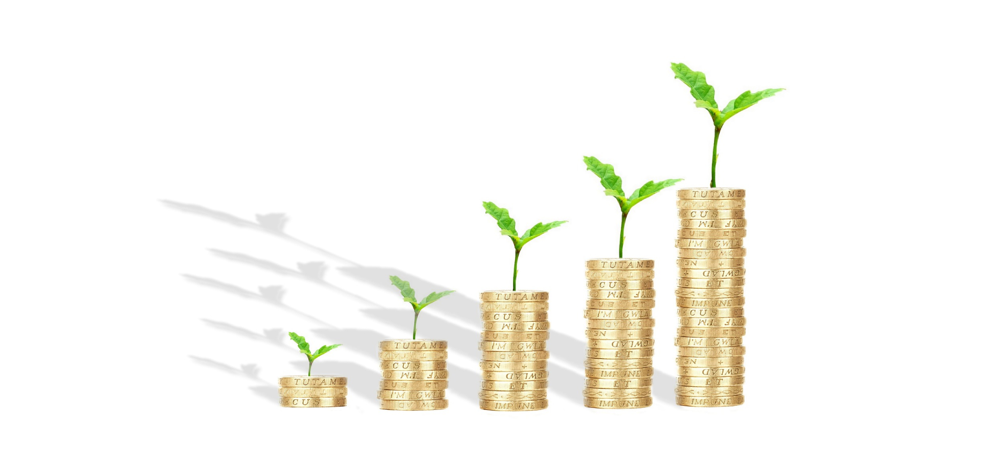 What are Listing Violations on Shopee and How to Avoid it