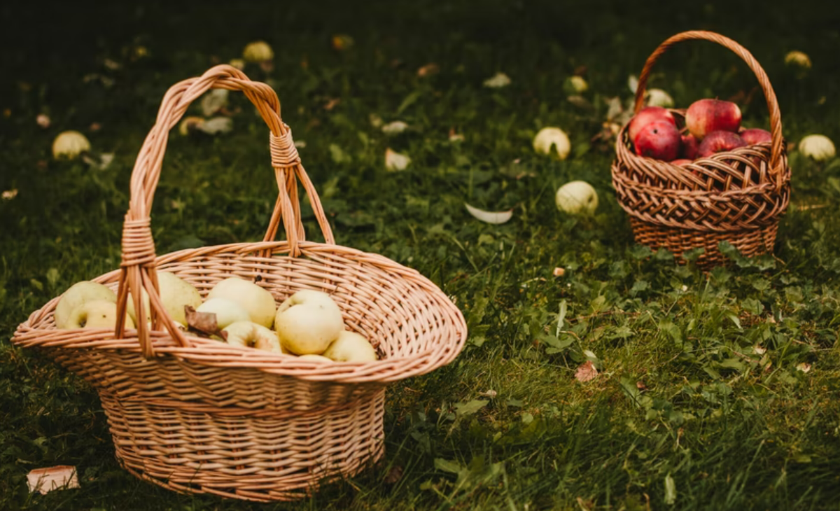 Tận dụng lợi thế của tính năng giỏ hàng trong các video ngắn trên TikTok