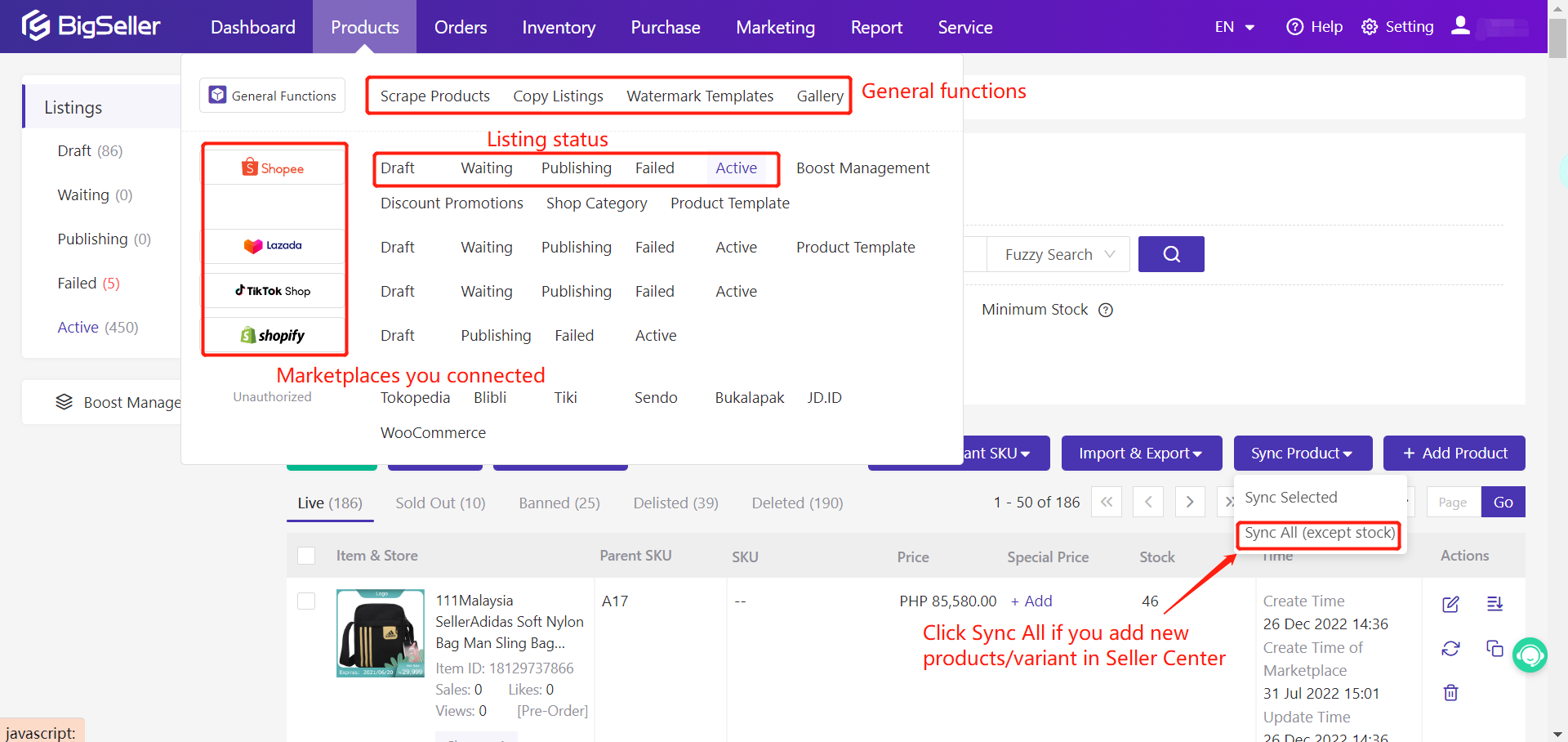 Expand Your Sales Channels with BigSeller