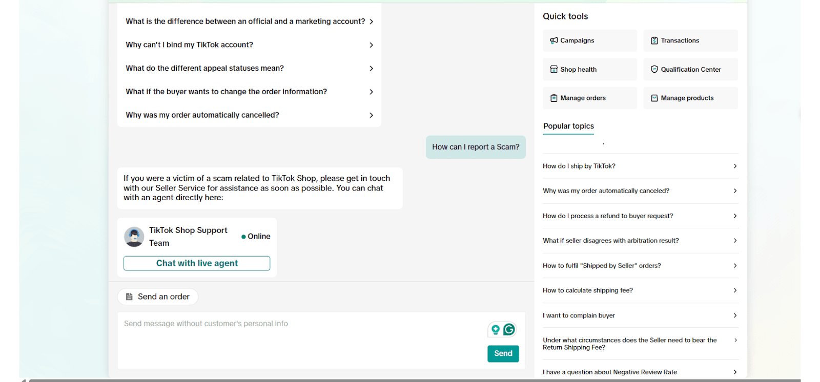 TikTok Chat with us 2