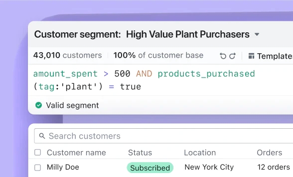 webstore business strategy2