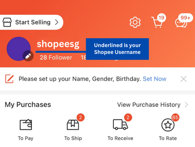 shopee MY-SG bulky delivery service form