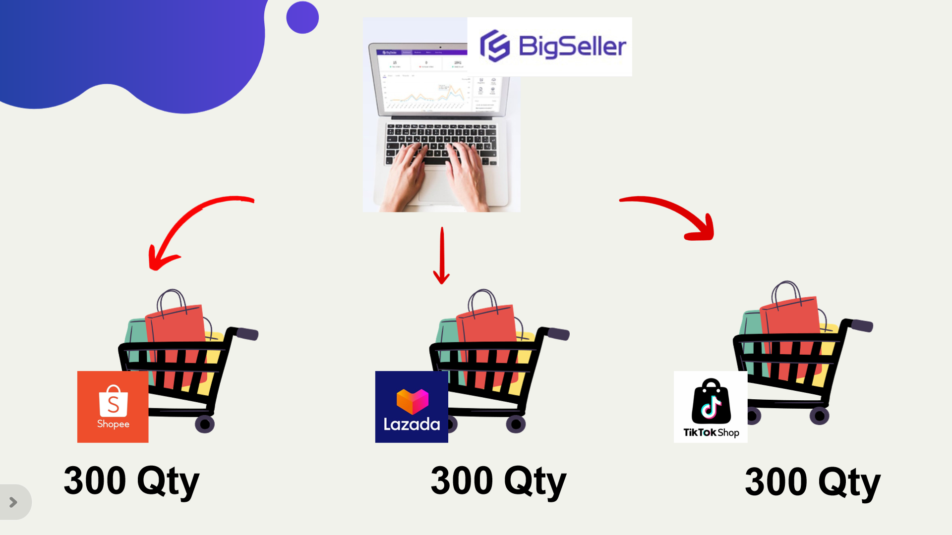 bigseller inventory