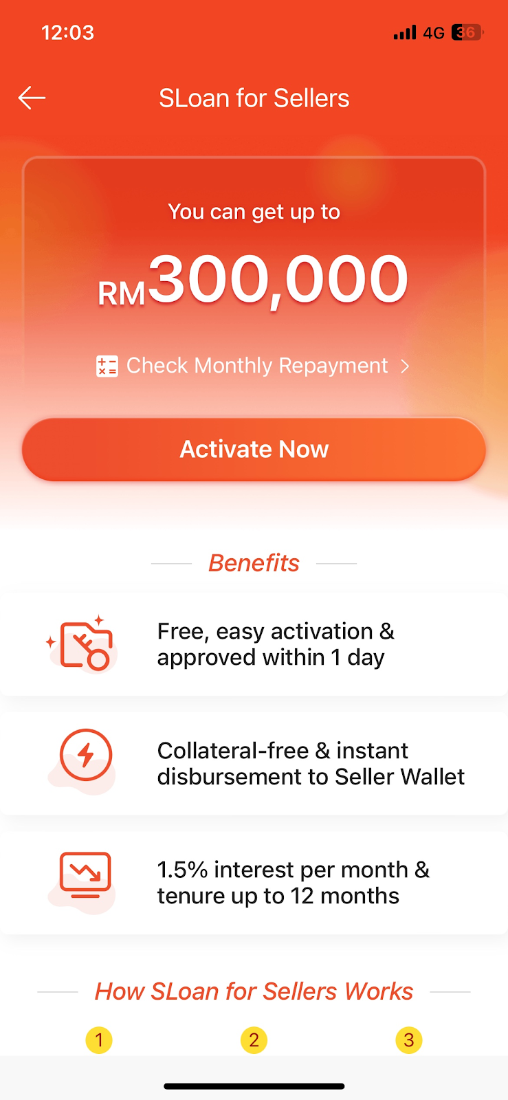 shopee malaysia rai lokal4